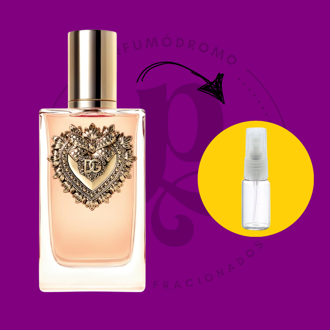 Decant Devotion - Dolce & Gabbana
